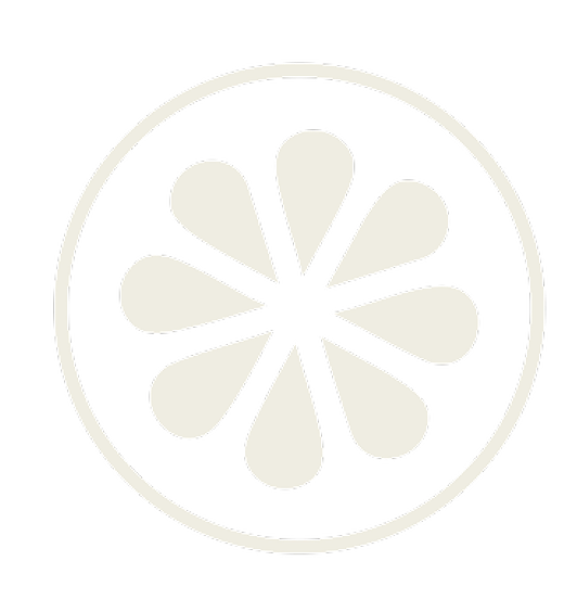 White circular object with a floral pattern on a white background